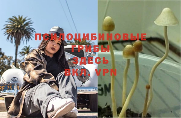 герыч Михайловск