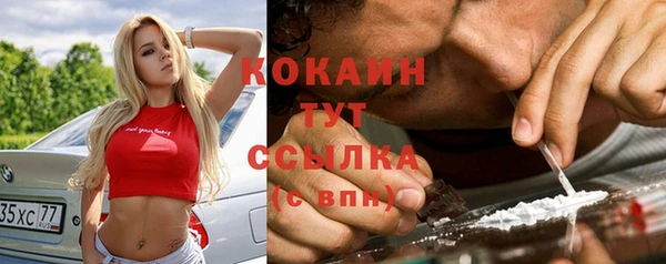 не бодяженный Михайлов