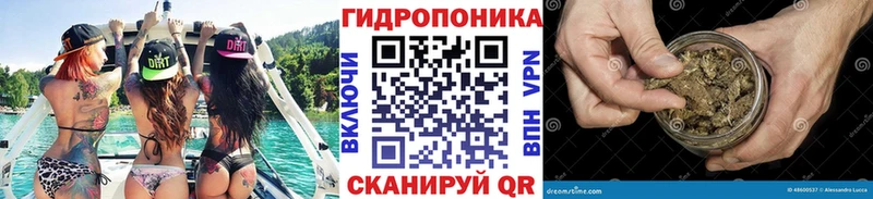 Шишки марихуана Bruce Banner  где продают наркотики  Суздаль 